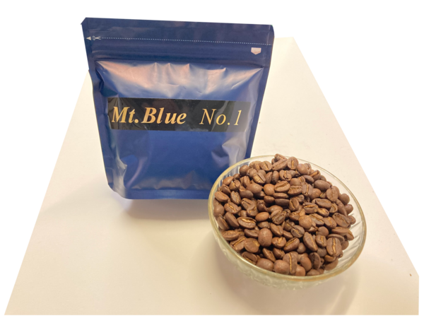 2025-10-30-13-34-07_ブルーマウンテンNo.10